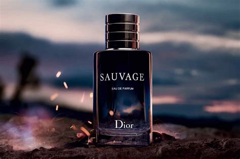 dior eau savage parfum fragrantica|what does sauvage smell like.